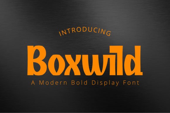 Boxwild: A Display Font Built for Digital Brand Presence