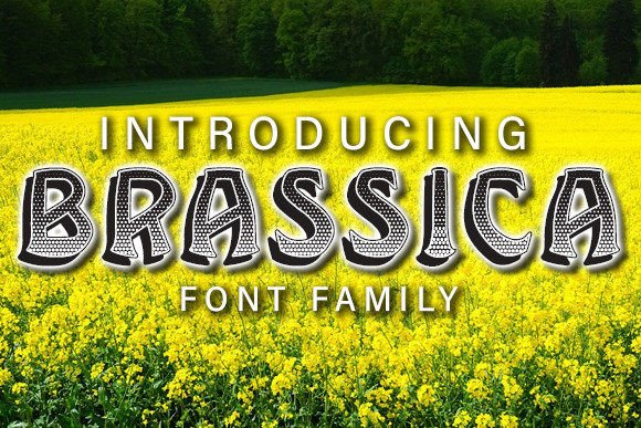 Brassica: The Display Font That Commands Attention in Campaigns