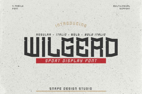 Wilgerd Font: A Web Designer’s Honest Take on a Bold Display Typeface